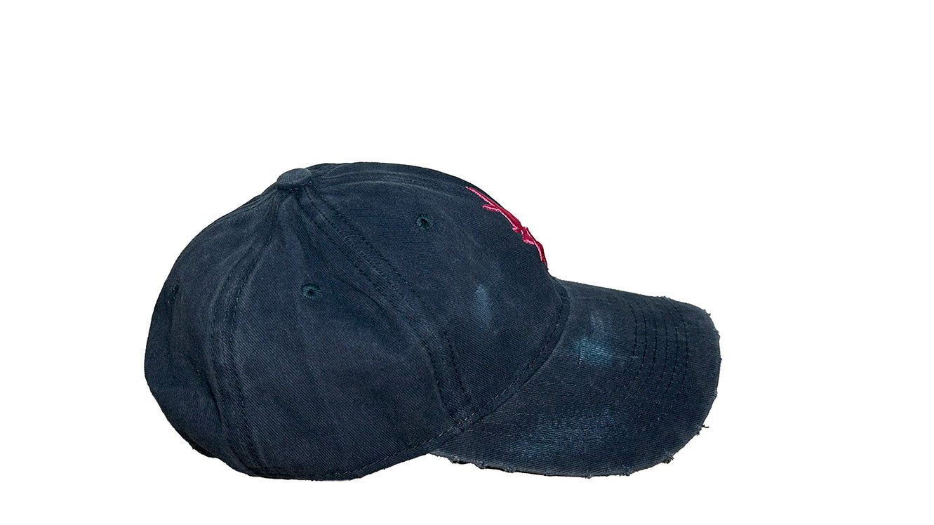 DARK BLUE VIDA CAP